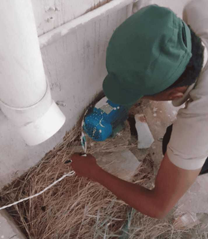الجنوب 8