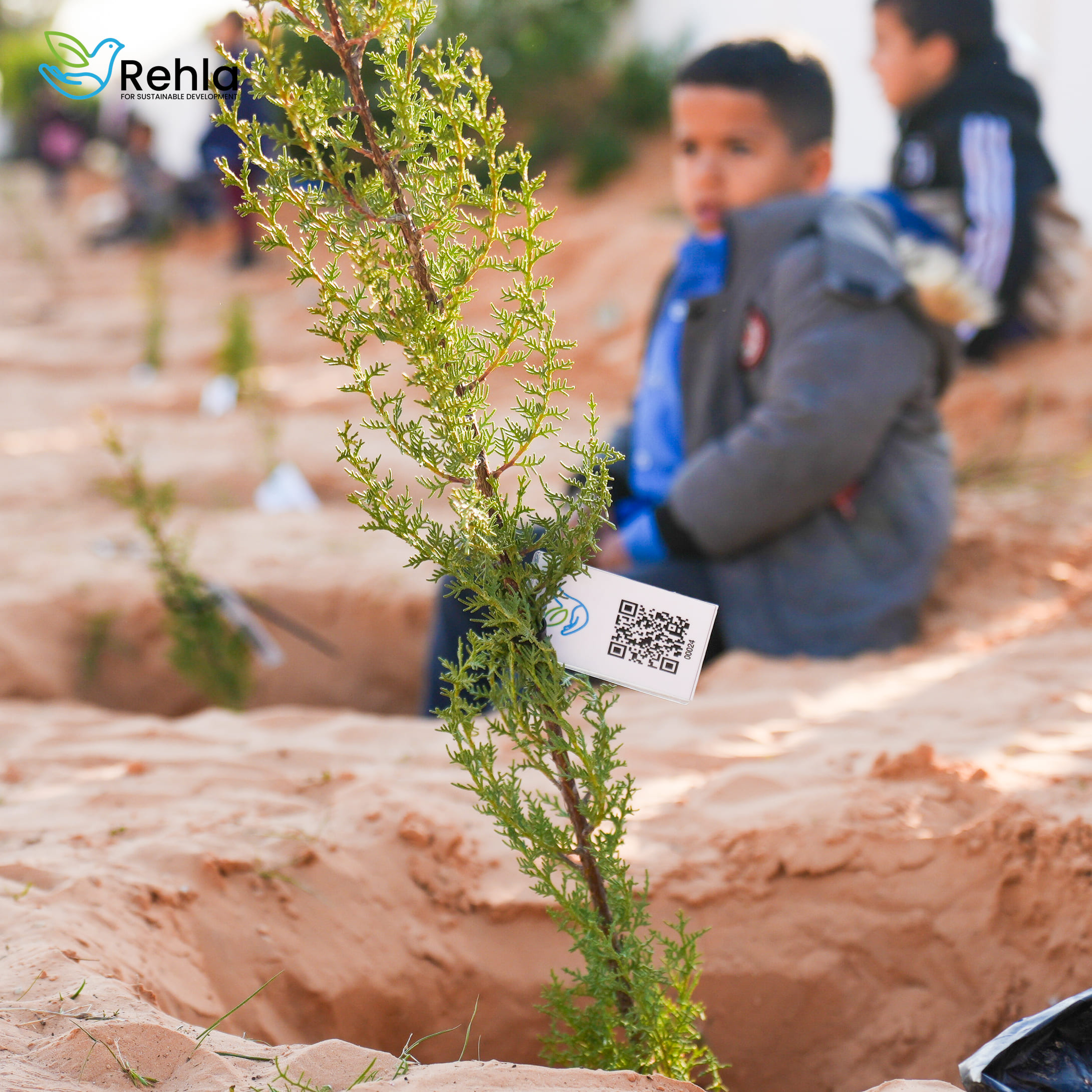 Ministry supported seedlings